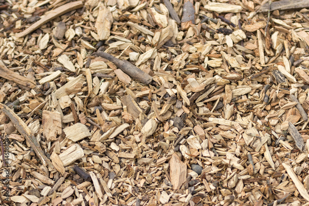 Texture of wood chips in natural form Texture of wood chips in natural form