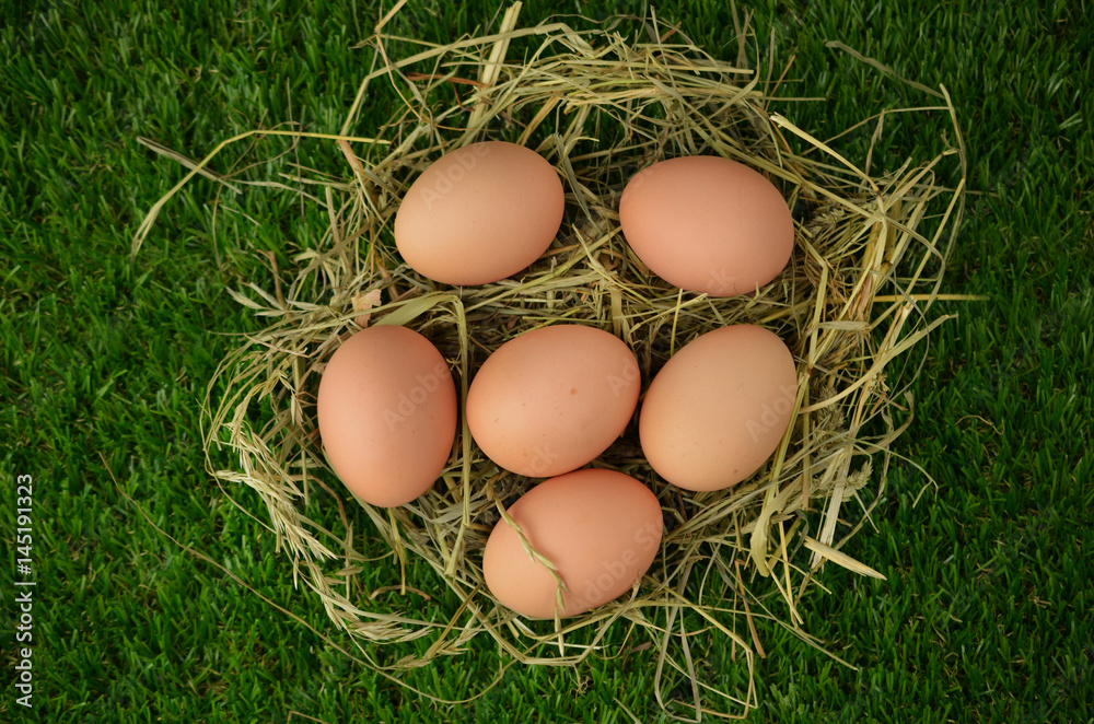 Easter eggs on hay Easter eggs on hay