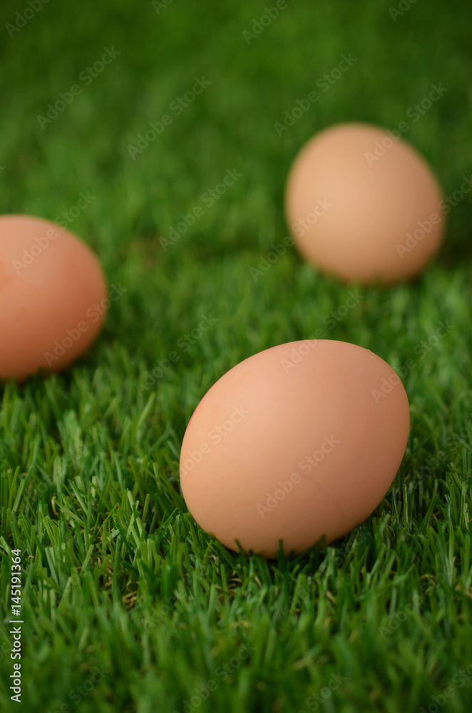 Easter eggs on grass Easter eggs on grass