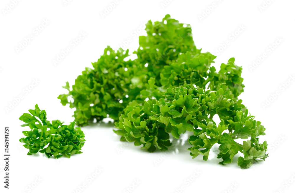 Fresh parsley herb isolated on white Fresh parsley herb isolated on white