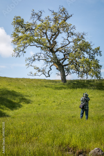 photographer photographing an oak tree on the hill