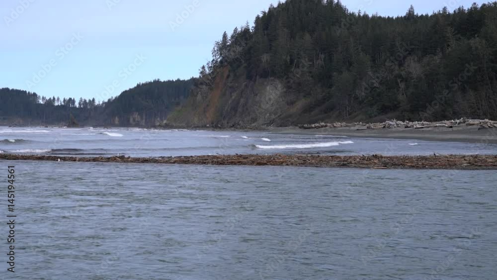River And Ocean Wilderness River And Ocean Wilderness