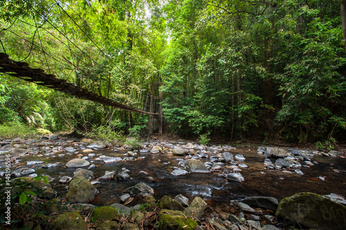 nature trail path with wooden bridge in deep forest  National Park  Thailan 