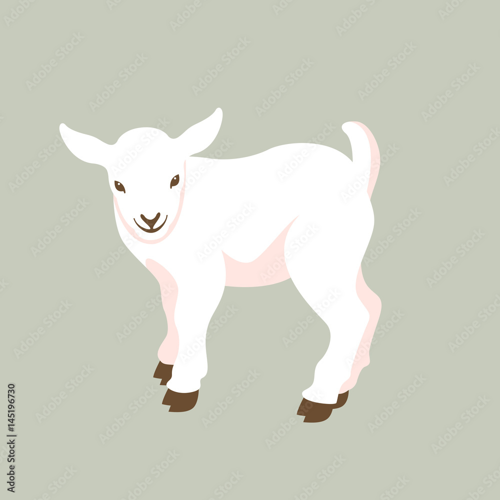  kid goat  vector illustration style Flat 