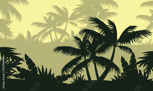 Silhouette of palm tree on forest landscape