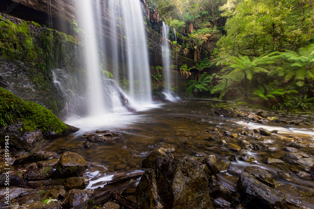 Obraz premium Russell Falls is located in Mount Field National Park, Tasmania, Australia.