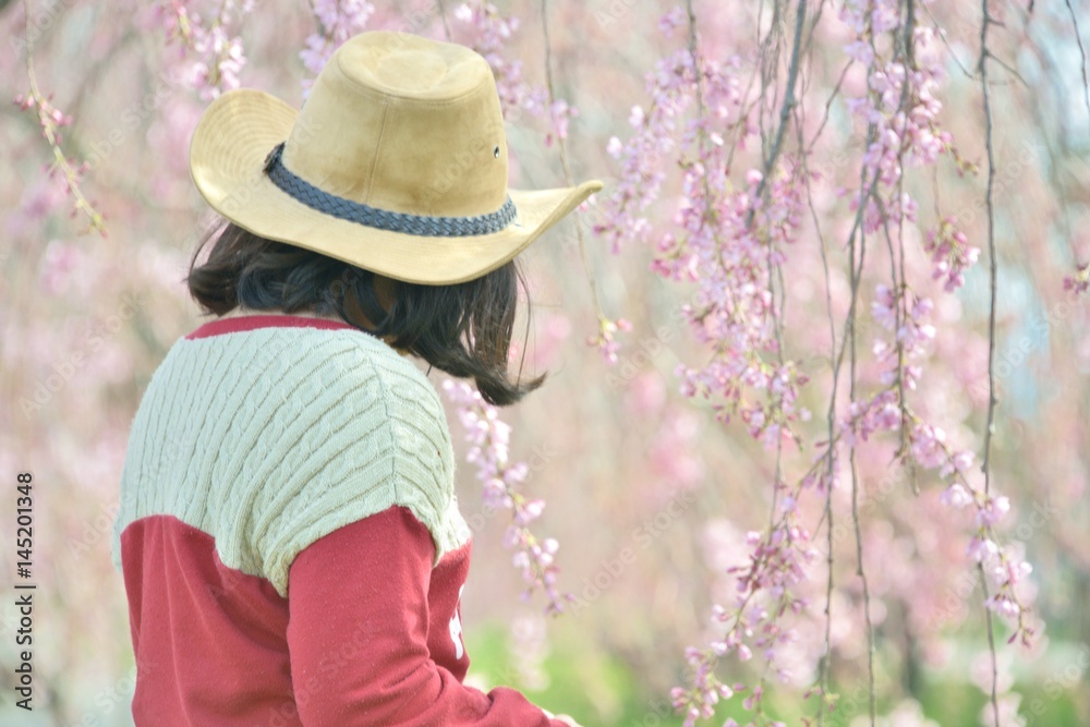 春・桜・しだれ桜・音楽を聴く少女