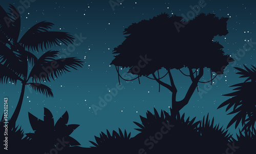 At night jungle scenery with star