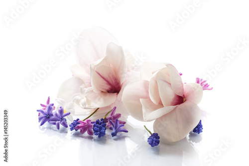 Fototapeta Naklejka Na Ścianę i Meble -  Set of spring flowers with magnolia