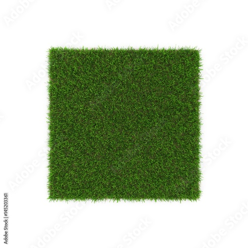 Seashore Paspalum Warm Season Grass on white. 3D illustration