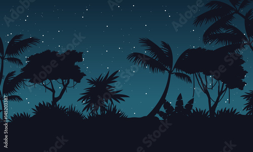 Beauty landscape jungle at night collection