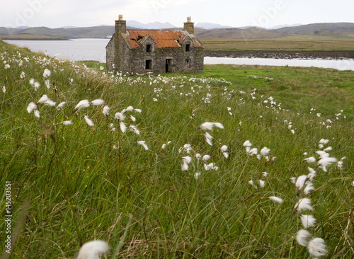 Stone cottage in field of cotton grass Isle of Harris Scotland