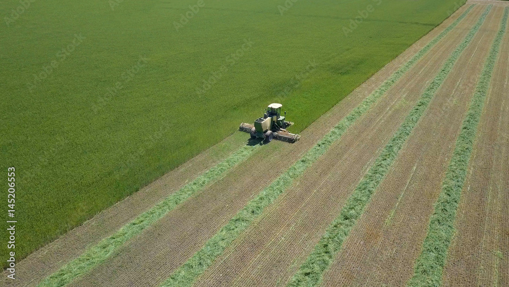 Combine harvester in a green field - Aerial image