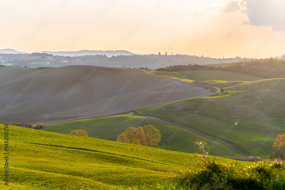 Golden hour in the Tuscany Hills