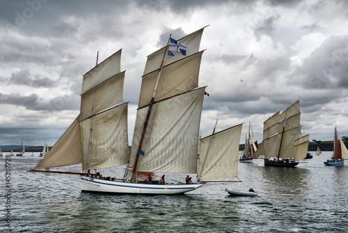  France  Duarnenez  21  July  2016  sailboats in the bay at the festival of sailing  France  Duarnenez  21  July  2016