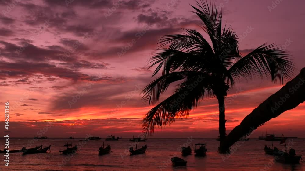 Palm and long tail boats on tropical beach at sunset. Koh Tao island, Surat Thani Province, Thailand
