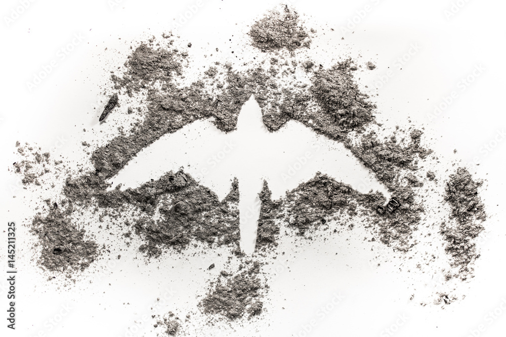 Naklejka premium Falcon, hawk, phoenix, eagle silhouette drawing made in ash as rebirth, birth, death, life, ecology disaster, fire, freedom concept symbol illustration