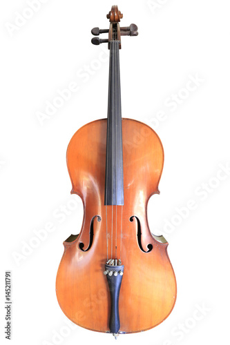 Violin