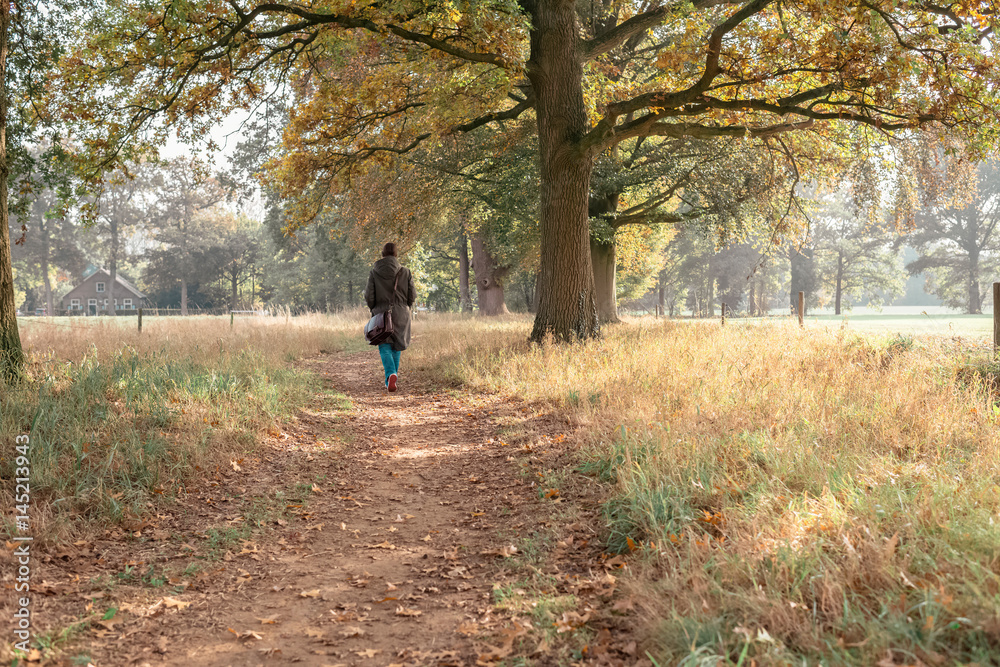 Tourist walking over path in autumn rural landscape. Tourist walking over path in autumn rural landscape.