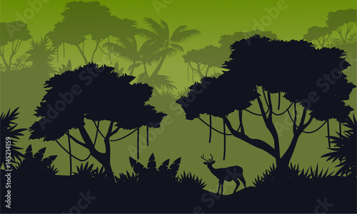 Landscape of forest with deer silhouette