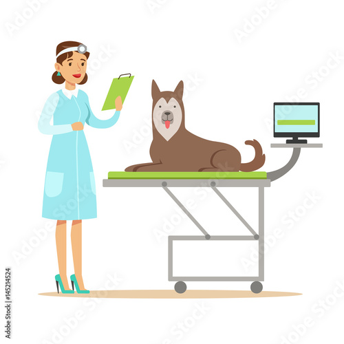 Smiling female veterinarian examining dog in vet clinic. Colorful cartoon character