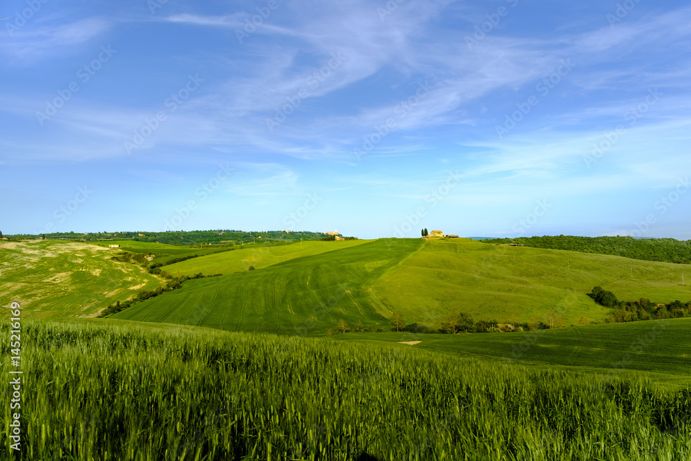 Countryside landscape around Pienza Tuscany