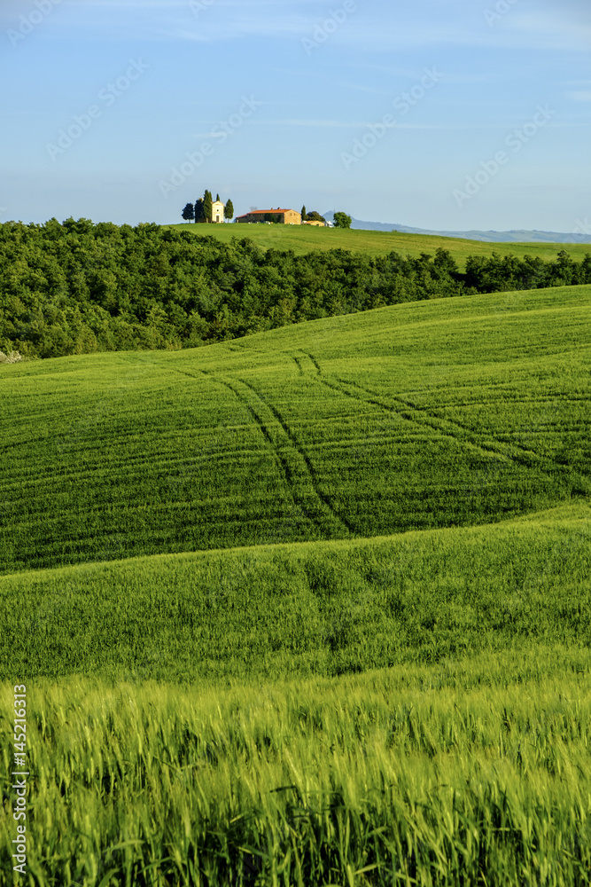 Countryside landscape around Pienza Tuscany Countryside landscape around Pienza Tuscany
