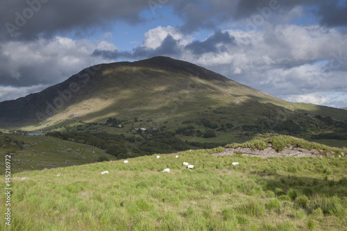 Countryside near Molls Gap; Killarney National Park photo