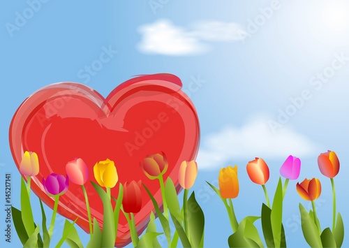 Tulpen mit Herz