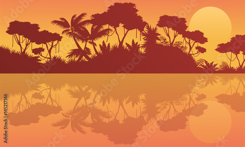Scenery jungle with lake at sunrise