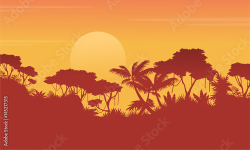 Silhouette jungle at sunrise scenery