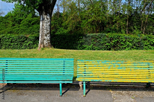 due panchine in ferro in un parco vuoto photo