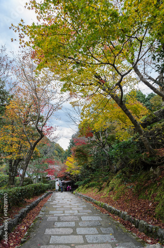 Steps leading down with autumn colored leaves in Arashiyama   Kyoto  Japan