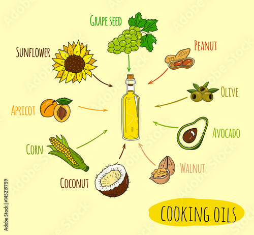 Hand drawn infographic of cooking oil sorts. Different kinds of edible vegetable food oils. With origin products olive, apricot, corn, grape seed, walnut, coconut, avocado, peanut and sunflower.