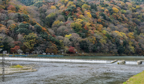 Autumn color view of Asashiyama mountain and Katsura river in Kyoto, Japan