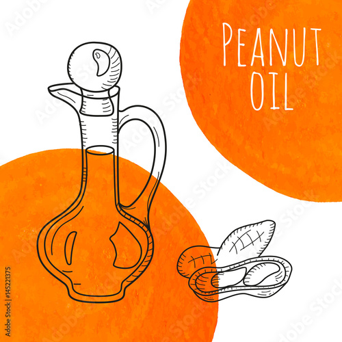 Hand drawn peanut oil bottle with orange watercolor spots. Isolated cute decanter with healthy cooking oil and peanut. Sketchy doodle illustration for aroma therapy, cosmetic, organic shop. Glass jug.