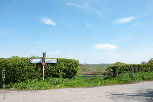 Summertime country road scenery in the Herefordshire countryside of the United Kingdom, photo