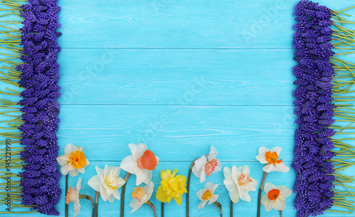 Fototapeta Naklejka Na Ścianę i Meble -  Spring composition of daffodils and muscari on a bright blue background.