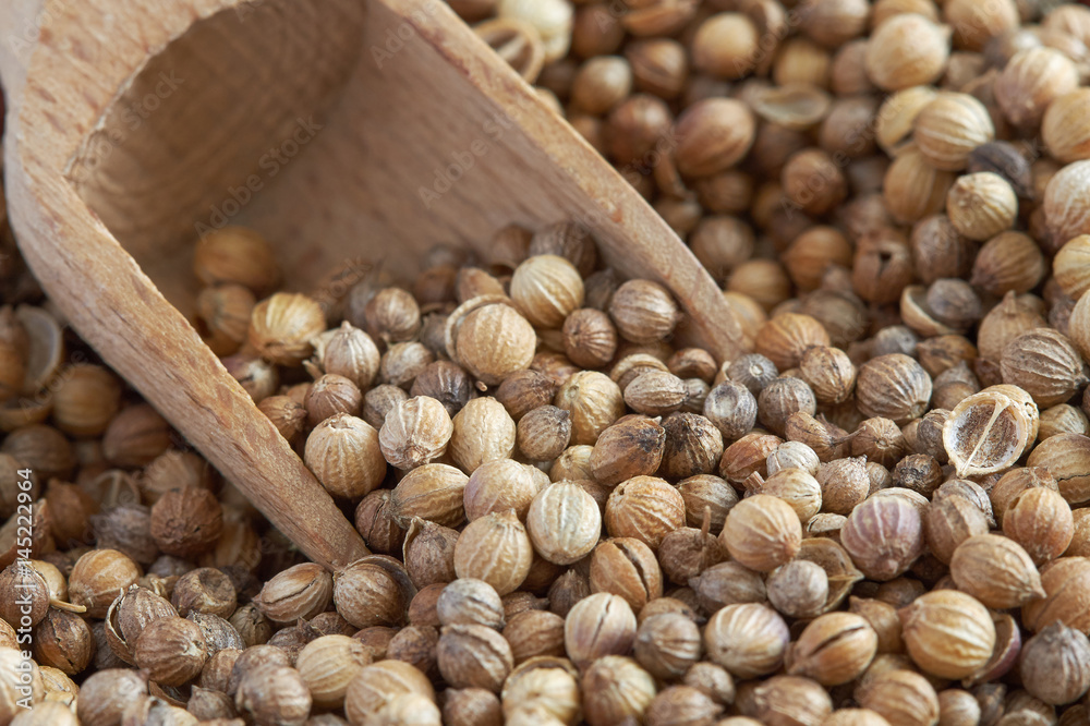 Closeup of dried coriander seeds with wooden scoop Closeup of dried coriander seeds with wooden scoop