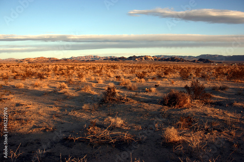 Arid landscape in the Mojave desert near Twentynine Palms, California, USA photo
