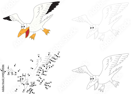 Cartoon polar seagull. Dot to dot game for kids