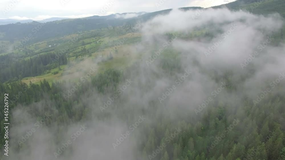 Flight Over The Misty Forest Flight Over The Misty Forest