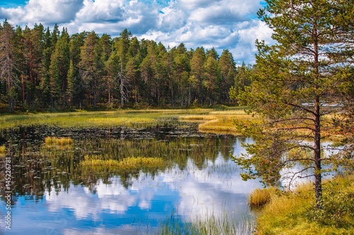 Idyllic summer landscape with clear lake in Finland