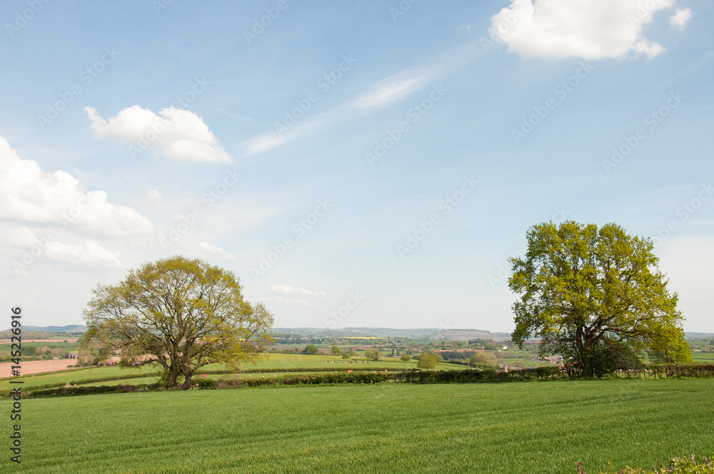 Springtime landscape in the Herefordshire countryside of England. Springtime landscape in the Herefordshire countryside of England.