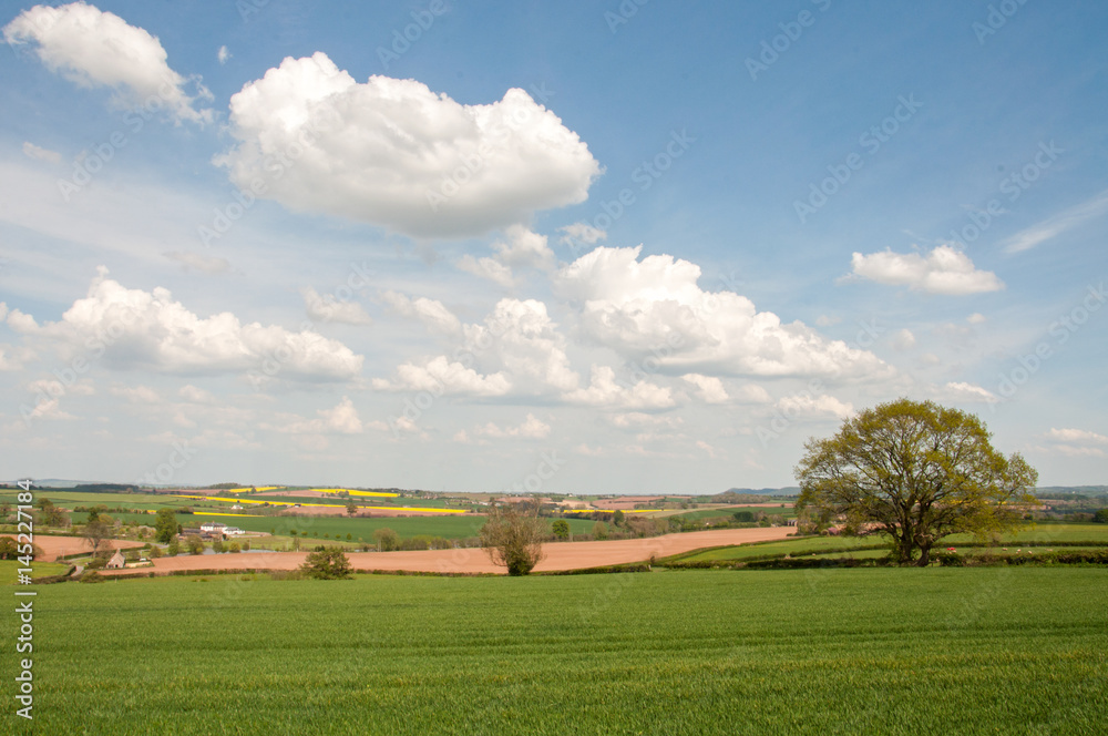 Springtime landscape in the Herefordshire countryside of England.