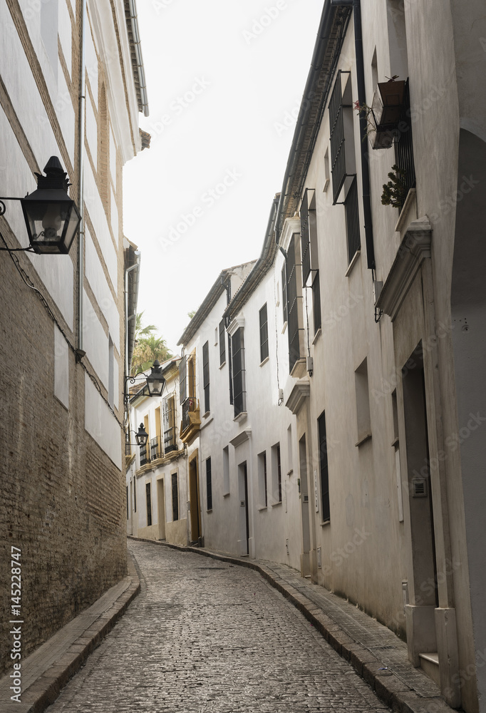 Fototapeta premium Cordoba (Andalucia, Spain): street