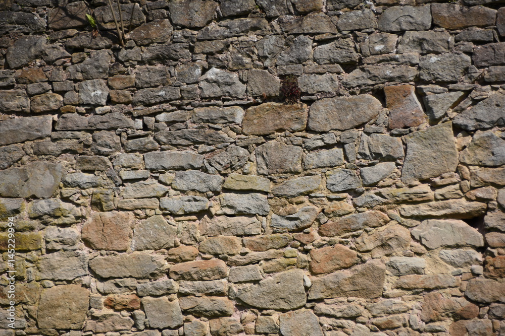 Fototapeta premium Sandsteinmauer