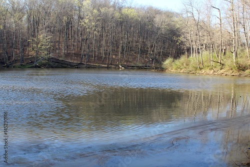 The lake in the forest at the park.