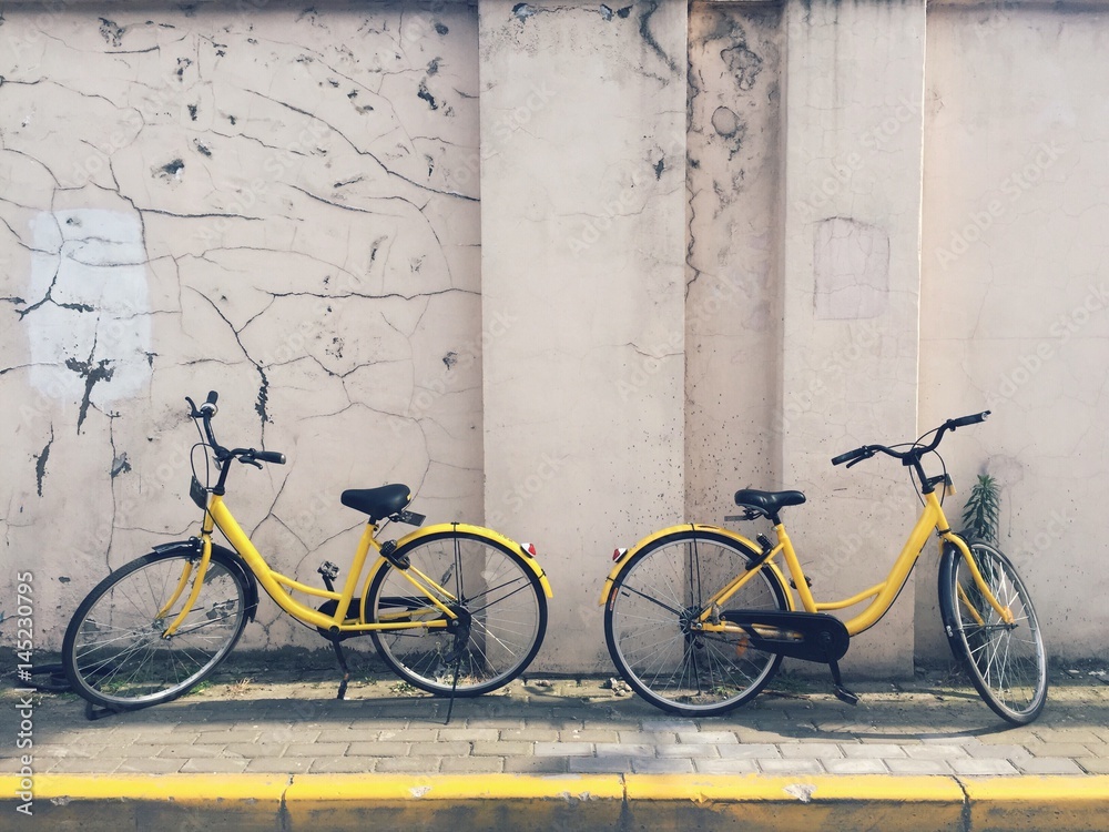 rentable eco city bikes - obrazy, fototapety, plakaty 