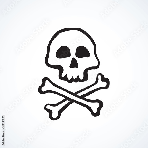 Skull and Bones. Vector drawing
